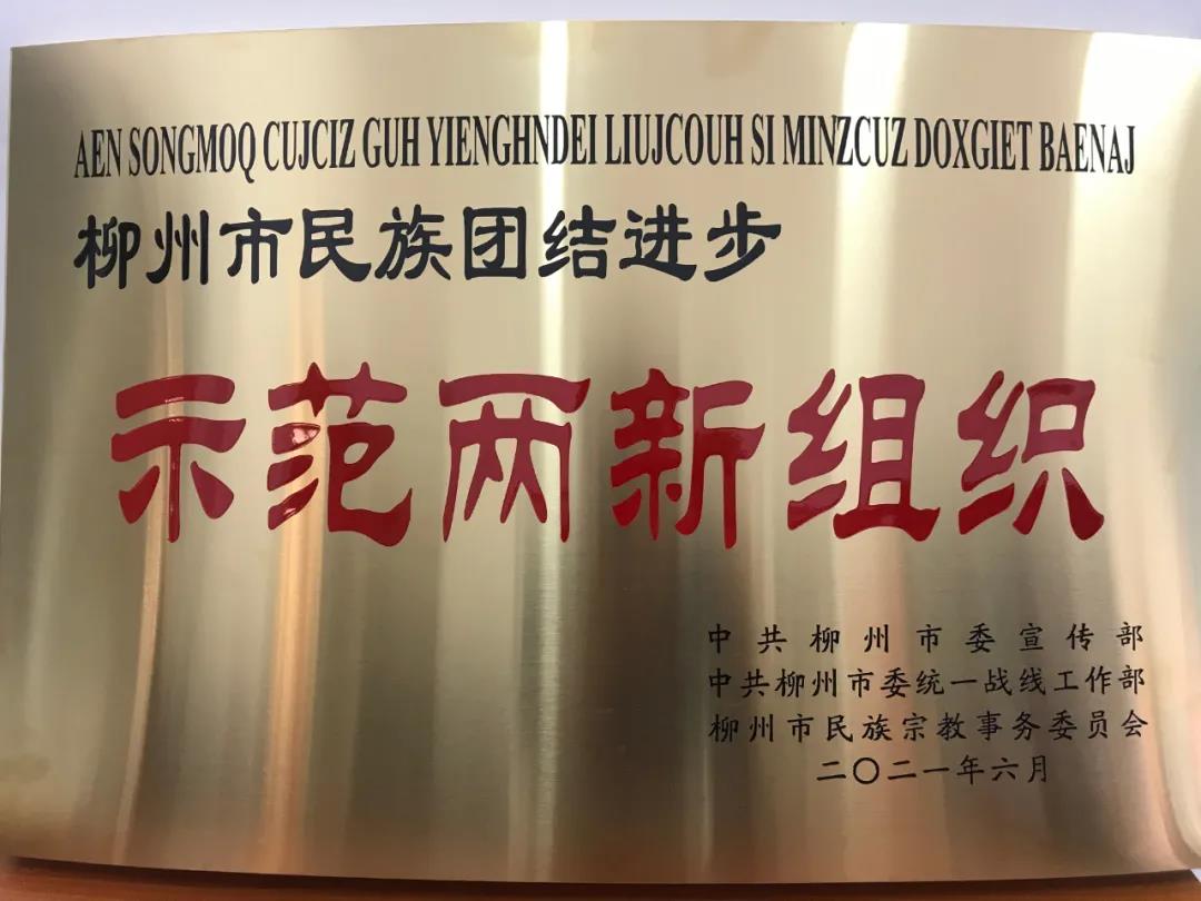【公司動態】公司獲頒柳州市民族團結進步“示范兩新組織”牌匾