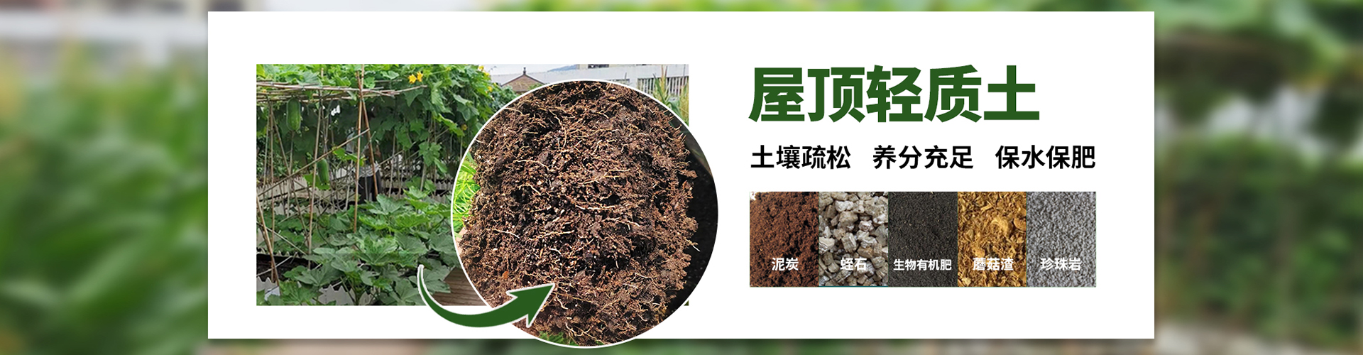 河北雄安信盈科技有限公司公司介紹