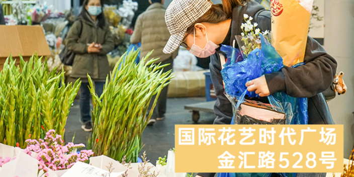 上海上海鲜花批发价格表 推荐咨询 上海求珍企业管理供应