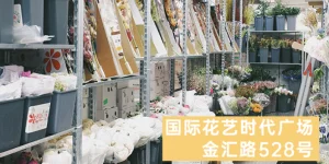 上海正規上海鮮花批發 歡迎咨詢 上海求珍企業管理供應