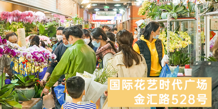 上海鲜花批发产品介绍 欢迎来电 上海求珍企业管理供应