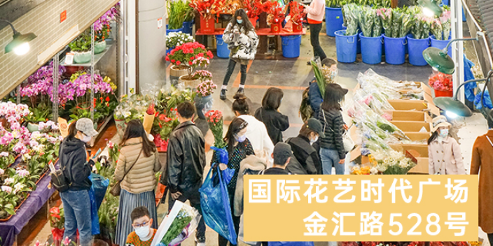 上海鲜花批发供应商家 欢迎咨询 上海求珍企业管理供应