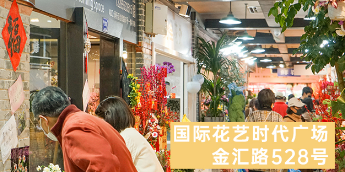 上海上海鲜花批发批发零售价 来电咨询 上海求珍企业管理供应