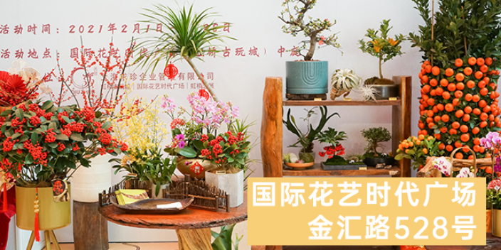 上海鲜花批发产品介绍 欢迎来电 上海求珍企业管理供应