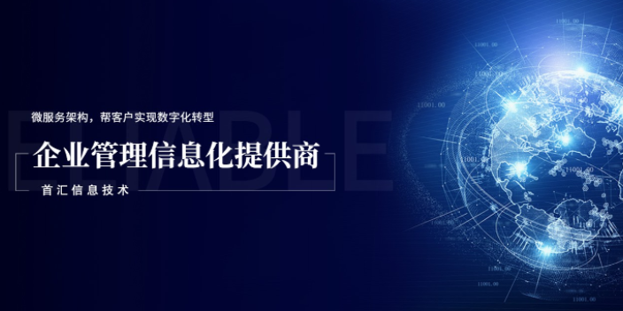 上海外貿企業數字化 歡迎咨詢 首匯信息供應