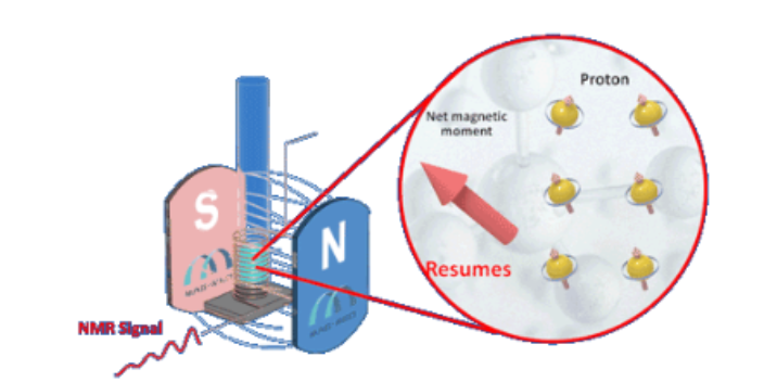 南京高精度核磁共振原理 江蘇麥格瑞電子科技供應(yīng)