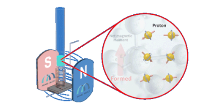 南京臺式核磁共振檢測 江蘇麥格瑞電子科技供應(yīng)
