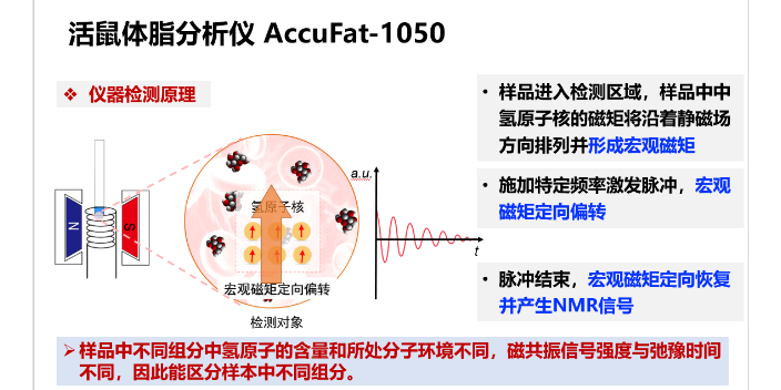 南京高精度核磁共振氫譜 江蘇麥格瑞電子科技供應(yīng)