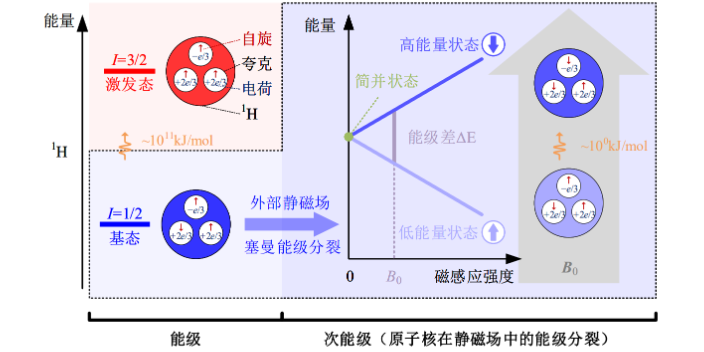 南京高精度核磁共振弛豫時間 江蘇麥格瑞電子科技供應(yīng)