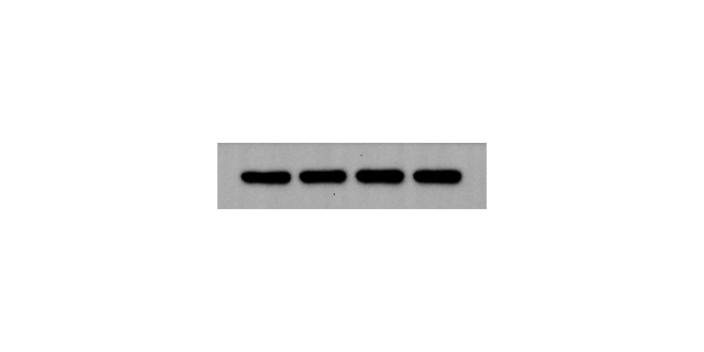 西藏生化法第三方检测公司推荐 成都瑞普信生物供应