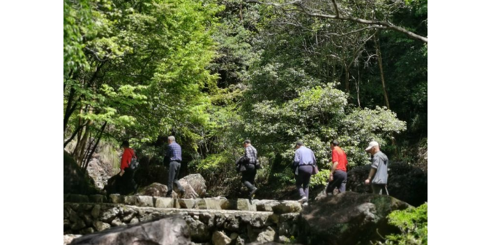 长春去布袋山旅游攻略