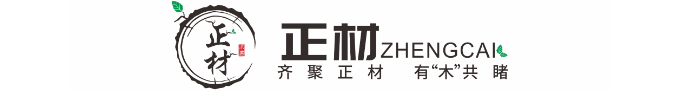 正材网logo