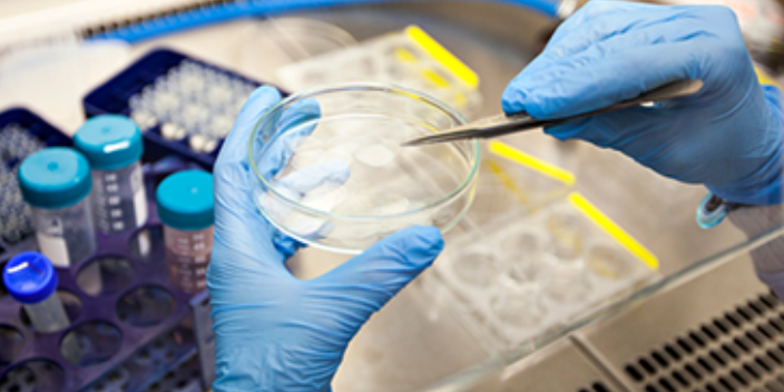 云南動(dòng)物造模實(shí)驗(yàn)外包價(jià)位 來電咨詢 南京英瀚斯生物科技供應(yīng)