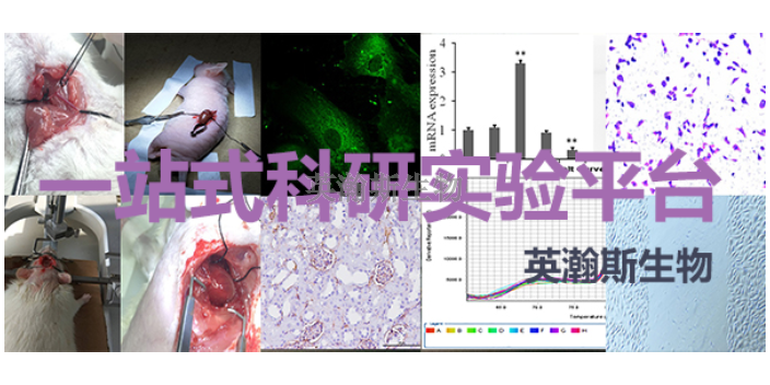 青海质量好的医学实验外包报告