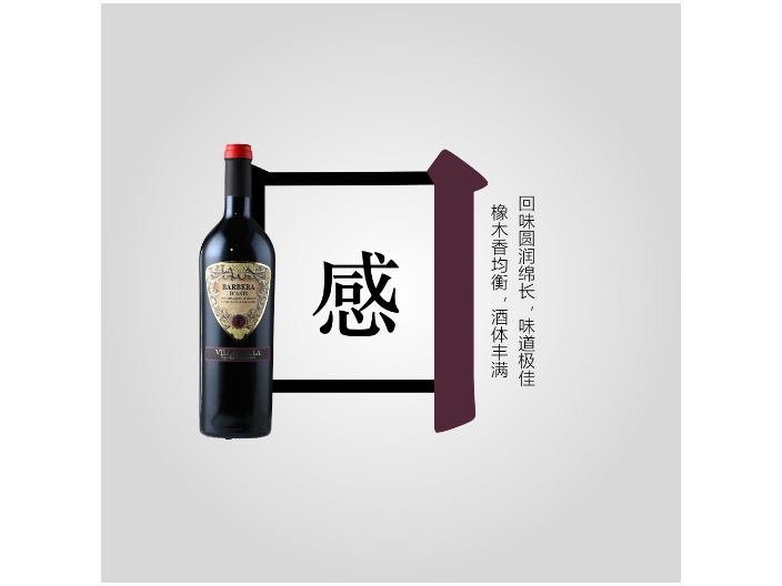 山东品质进口葡萄酒价格信息