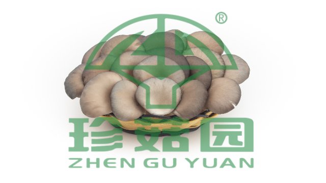 南京秀珍菇基地直供,菇