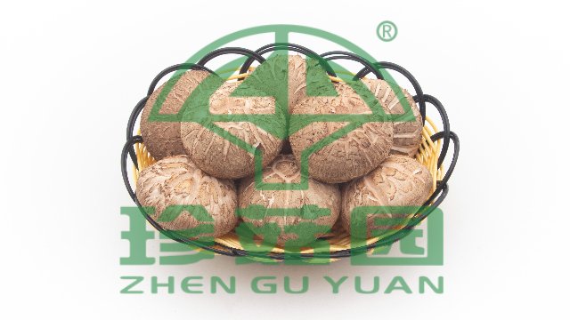 南京秀珍菇基地直供,菇