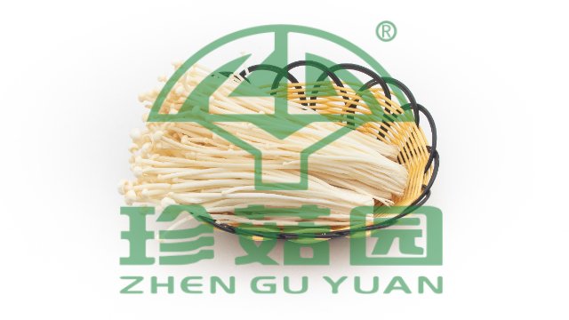 浙江草菇,菇