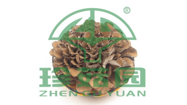 浙江草菇,菇