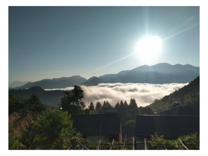 宁波五粮酒加工,五粮酒