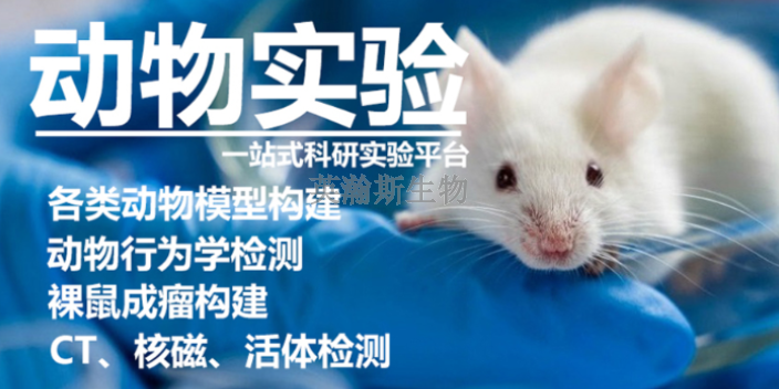 贵州推荐实验动物模型价格