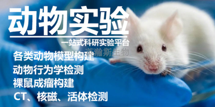 福建推薦實驗動物模型外包公司