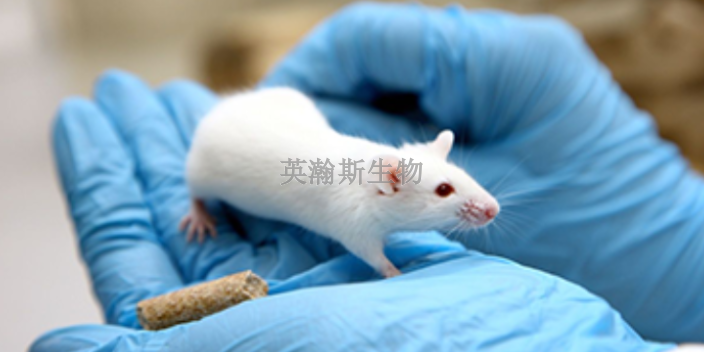 甘肅推薦實驗動物模型推薦