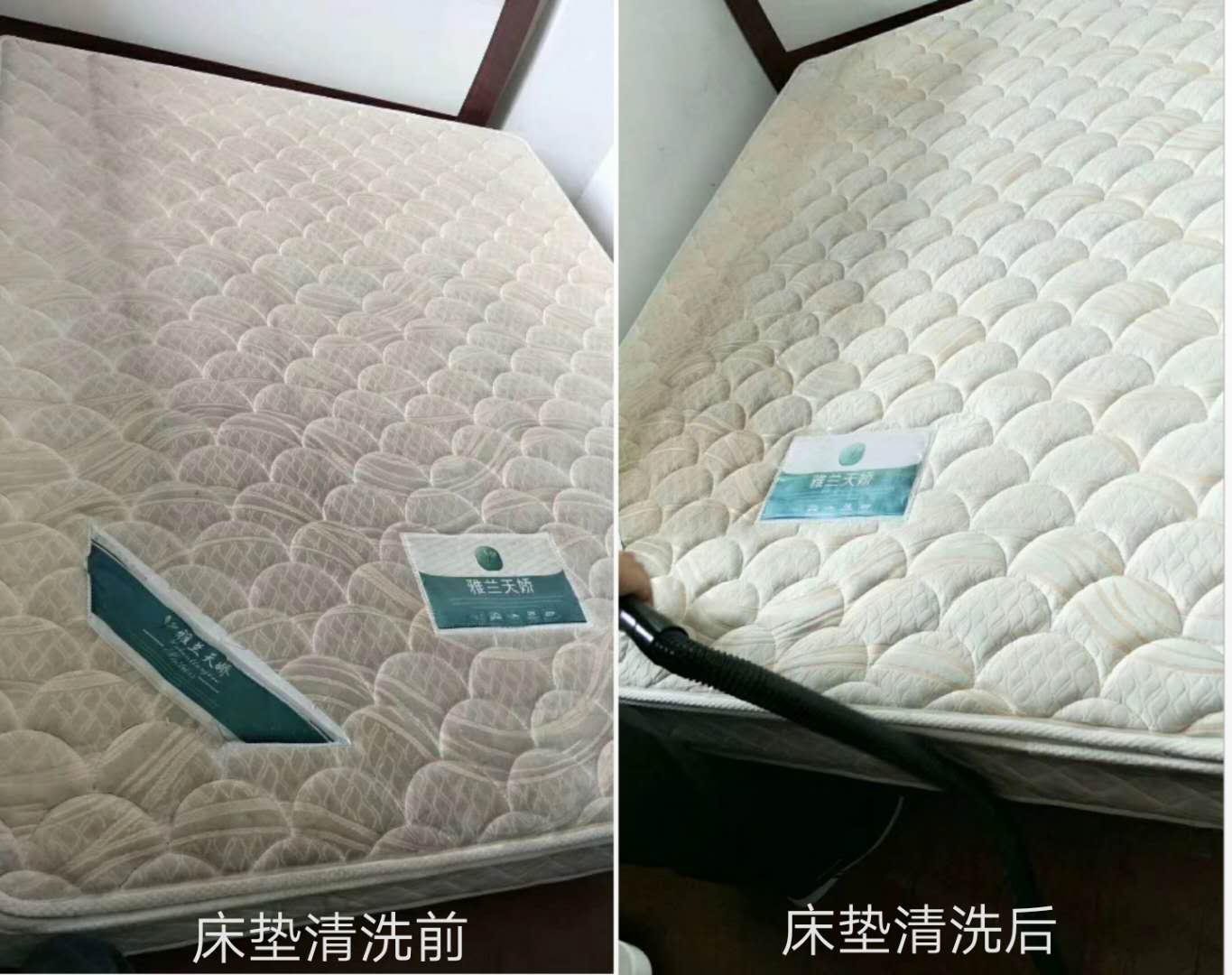 床墊除螨技術之針對各種不明污質清理