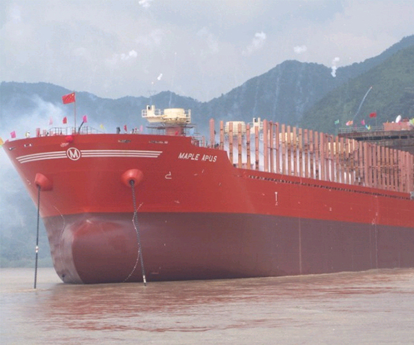 台州枫叶船业—35000吨散货船