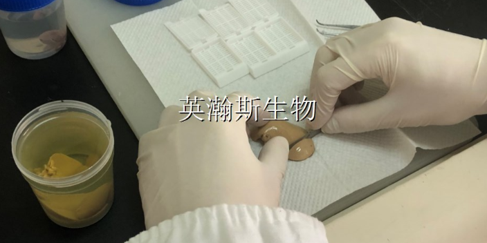贵州大鼠免疫组化注意事项