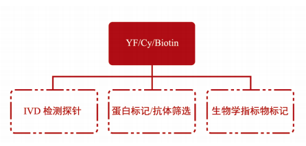 YF、CY、Biotin系列