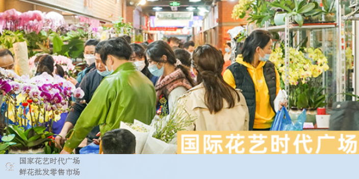 上海数据鲜花价格信息 欢迎来电 上海求珍企业管理供应