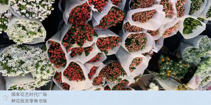 上海鲜花零售鲜花价格合理 欢迎咨询 上海求珍企业管理供应