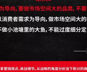 上海湃洵品牌管理集团有限公司1