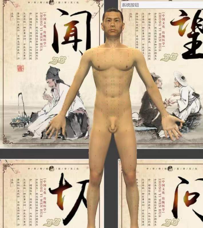 上醫(yī)寶松堂3D版人體穴位發(fā)光模型及進針演示系統(tǒng)4.jpg