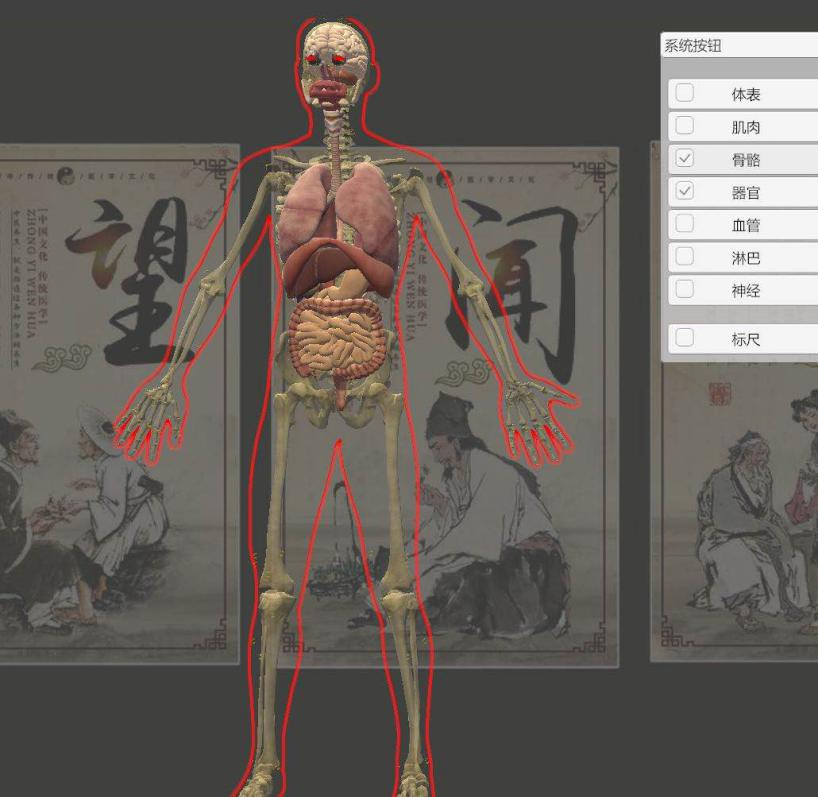 上醫(yī)寶松堂3D版人體穴位發(fā)光模型及進針演示系統(tǒng)24.png