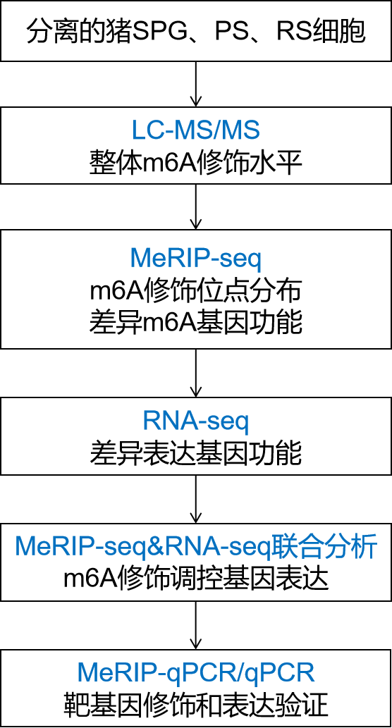 技术路线图.png