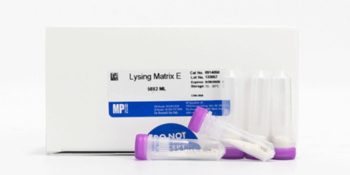 徐匯區(qū)土壤DNA提取銷售 服務(wù)為先 上海益啟供