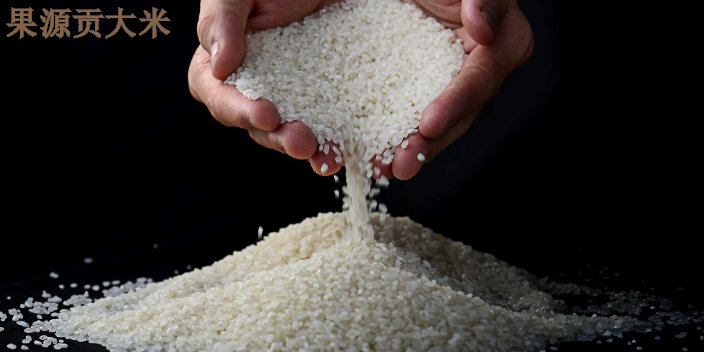 开封胶质丰富大米从产地直销