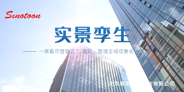 機場車牌識別實景孿生服務電話 服務至上 北京黎陽之光科技供應
