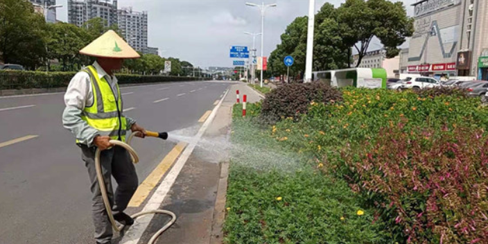 仙居縣種植養(yǎng)護(hù)外包