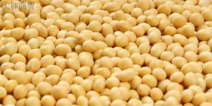 佳木斯质量大豆怎么做