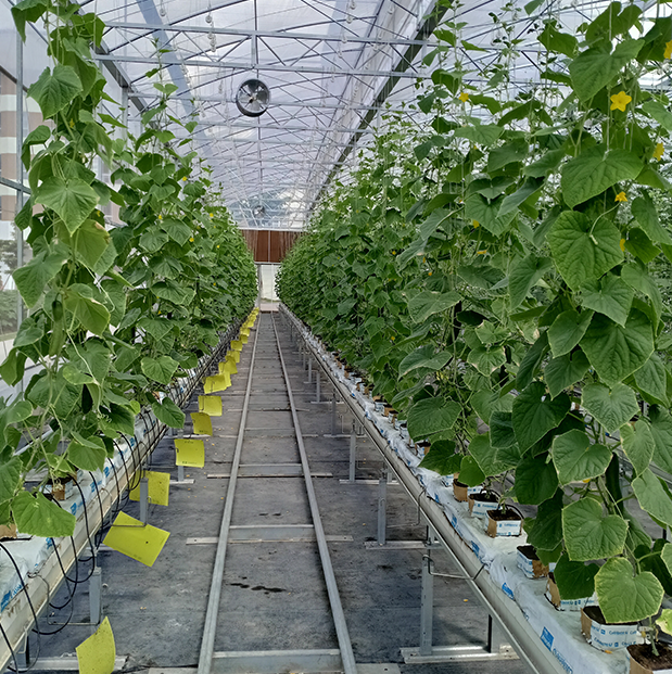 中山市華盟農業科技有限公司