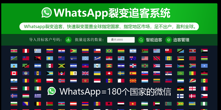 whatsapp的动态在哪里看,跨境获客系统