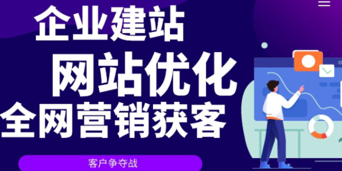 邢台运营网络运营介绍 欢迎来电 保定创天网络科技供应