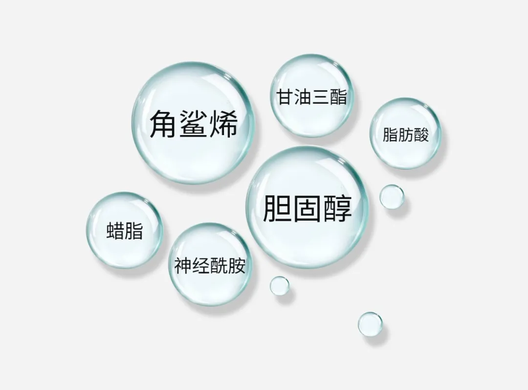 ****品牌加盟.png