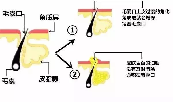 ****品牌加盟.png