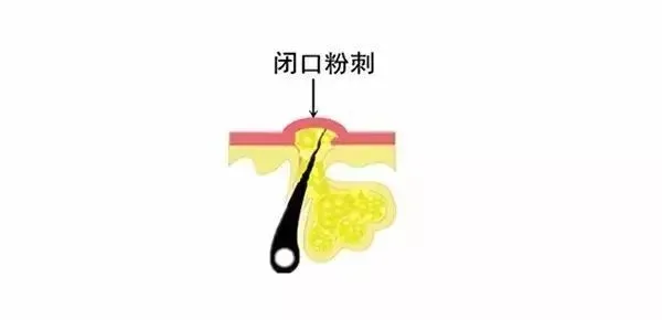 ****品牌加盟.png