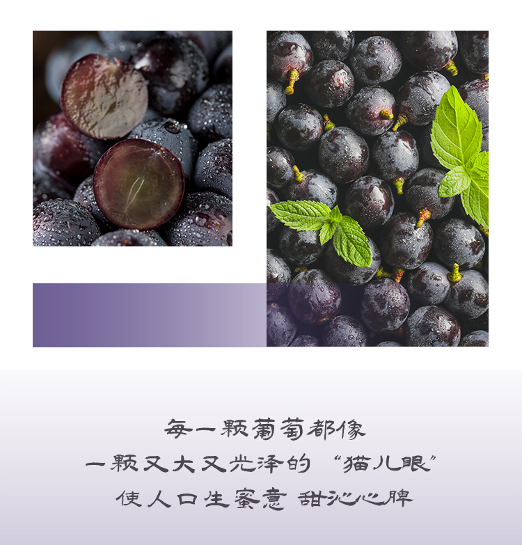 葡萄_02.jpg
