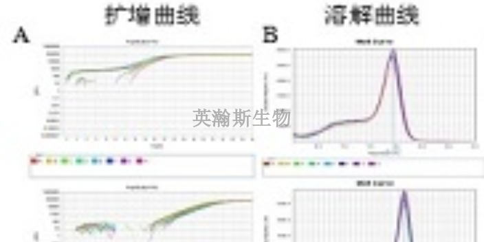 江蘇熒光定量pcr怎么選擇,pcr